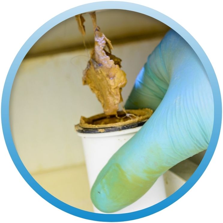 Gloved hand removing a thick clog from a drain.