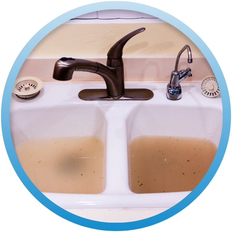 Double kitchen sink filled with murky, stagnant water.